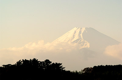 四季折々の富士山も楽しめます